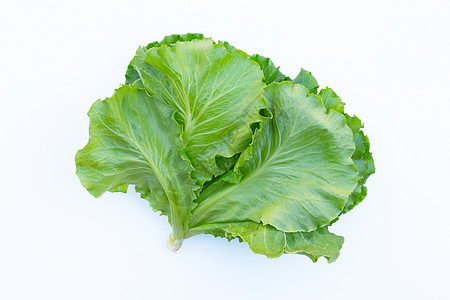 白色背景上的发泡 顶视图纤维收成蔬菜食物叶子生活莴苣饮食植物营养图片