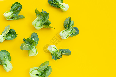 黄色背景的Bok Choy树叶叶子食物美食芹菜蔬菜纤维芸苔营养植物图片