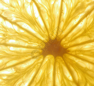 静生摄影热带叶子圆圈宏观果汁食物饮食柠檬水果工作室图片