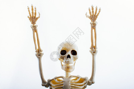 人类骨架模型 作为医学解剖科学的人体骨架模型脊柱治疗药品诊所颅骨解剖学医师死亡腰椎骨干图片