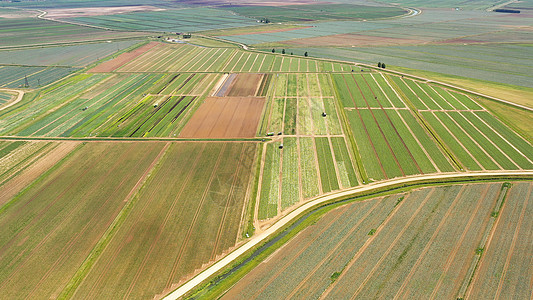具有以上绿色作物的农业用地机器粮食风景鸟瞰图栽培土地生长场地农田牧场图片