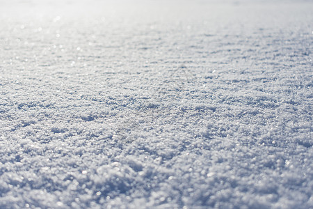 多雪的表面在冬天的阳光下 表面覆盖着一层致密的雪图片
