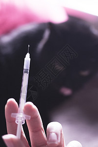 含有胰岛素和黑猫本底助手检查医疗药品动物剂量疫苗宠物医院成人图片