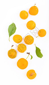 白色背景与叶子隔绝的黄梅活力食物生物收成青梅李子作品季节团体小吃图片