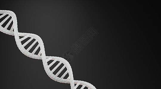 黑色 background3D 渲染上的白色 DNA 结构摘要图片