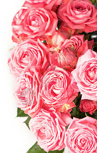 美丽的花卉花卉背景粉红色的玫瑰花花束背景婚姻温泉热情假期婚礼纪念日花瓣庆典礼物植物群图片