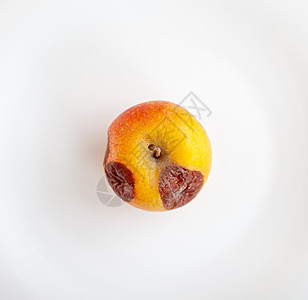 特写一个腐烂的苹果 孤立在白色背景上衰变摄影食物模具盘子农业植物营养人手手指图片