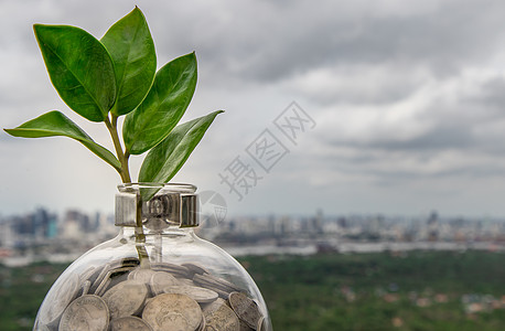 在城市景观背景的玻璃瓶中 硬币堆上长出的树苗金融投资贷款退休账户经济货币经营收益植物群图片