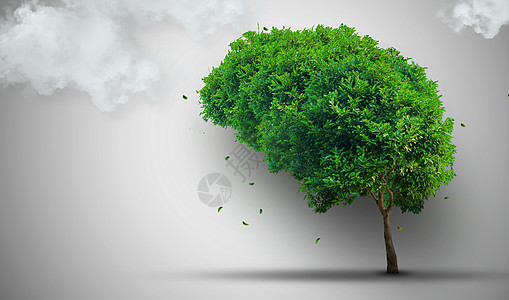 绿树树叶发明绿色成功教育智慧生长生态工作思考想像力图片