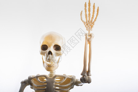 人类骨架模型 作为医学解剖科学的人体骨架模型大小诊所骨骼髋关节药品医生学习身体骨干真人图片