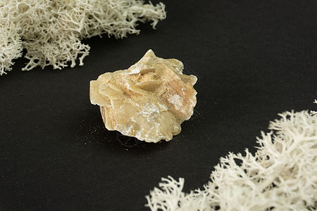 来自突尼斯的沙漠玫瑰水晶 在黑背景的自然矿物石头 矿物学地质学半宝石和矿物样品的魔力 特写微距照片材料夹杂物太阳地质学收藏编队粮图片