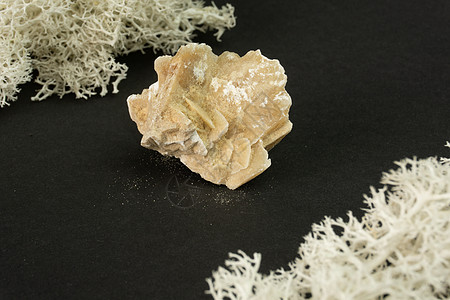 来自突尼斯的沙漠玫瑰水晶 在黑背景的自然矿物石头 矿物学地质学半宝石和矿物样品的魔力 特写微距照片石膏岩石砂岩夹杂物编队情调硫酸图片