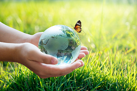 一个拿着玻璃球的男人概念日地球拯救世界拯救环境世界在绿色散景背景的草丛中树叶生活幼苗园艺植物叶子家庭土壤孩子行星图片