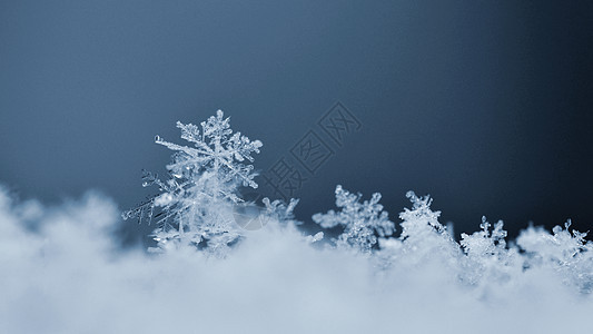 雪花 真正的雪水晶宏观照片 美丽的冬季背景季节性自然与冬季天气自然蓝色水晶宽慰薄片火花星星季节六边形图片