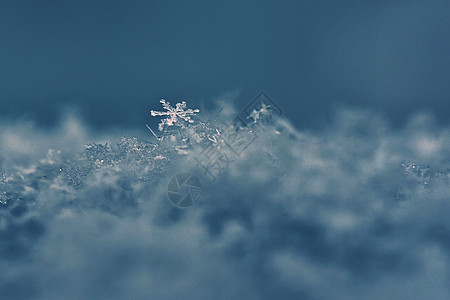 雪花图案雪花 真正的雪水晶宏观照片 美丽的冬季背景季节性自然与冬季天气火花宽慰六边形季节自然水晶薄片蓝色星星背景