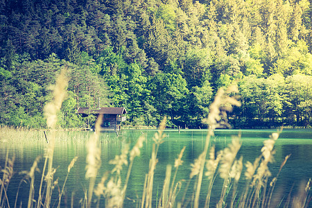 湖边的旧船屋 森林季节风景木头思维码头假期冥想芦苇建筑图片