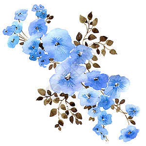 带叶子的水彩花花卡片问候语蓝色艺术卡通片植物手绘柳条植物群绘画图片