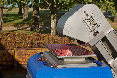 在普罗旺斯的法国南部葡萄园 制造酿酒机图片