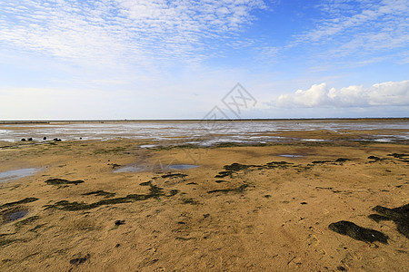 欧洲德国Nordstrand半岛附近的Wadden Sea 国家公园海岸线地标泥滩风景沼泽旅行天空潮汐海岸土地图片