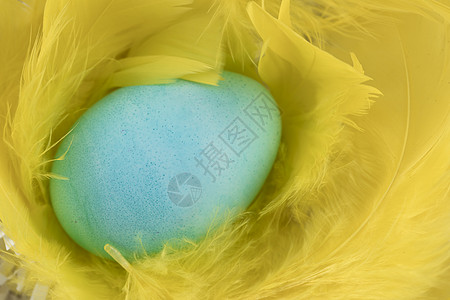 羽毛中的复活蛋高清图片