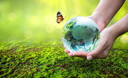 一个拿着玻璃球的男人概念日地球拯救世界拯救环境世界在绿色散景背景的草丛中活力阳光森林农业植物生长种子土壤孩子生态图片