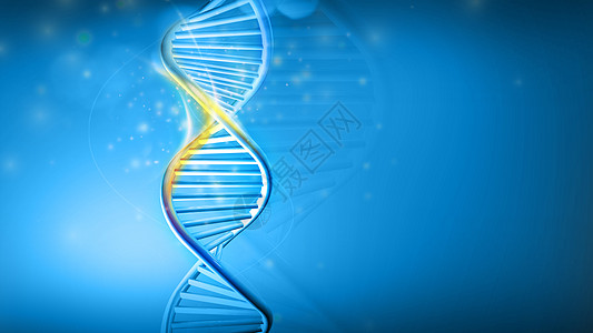 蓝色背景的DNA螺旋模型 3D制成基因组染色体化学克隆遗传化学品核苷酸基因科学技术图片
