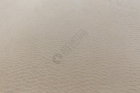 beac 上的沙面地面海浪旅行沙丘海岸环境墙纸棕色海洋黄色图片