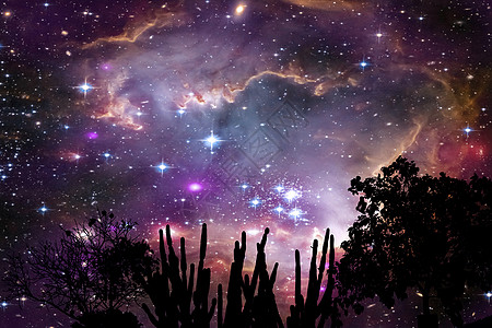 银河星系在山顶夜空的月光树上的星云小说吸引力宇宙轨道星系森林科学行星太阳系星星图片