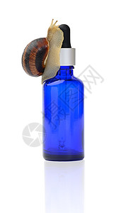 棕色蜗牛坐在一个蓝色玻璃透明瓶子上 有管子 白色背景的私藏产品美容动物治疗奶油滴管螺旋皮肤吸管皮肤科宏观图片
