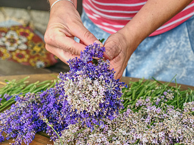 女性手握芳香的草药尾巴 法语普罗旺斯语薄荷棕榈工作紫色盒子疗法新娘艺术家装饰农民图片