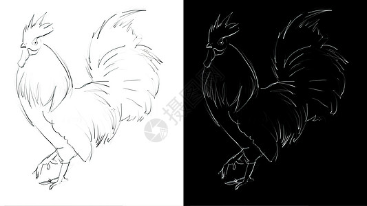 3d 插图  龙鸟手画艺术工艺过程数字羽毛绘画草图动物艺术家翅膀线条尾巴卡通片图片