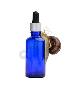 棕色蜗牛坐在一个蓝色玻璃透明瓶子上 有管子 白色背景的私藏产品胶原粘液血清化妆品奶油治疗皮肤科螺旋皮肤生物图片