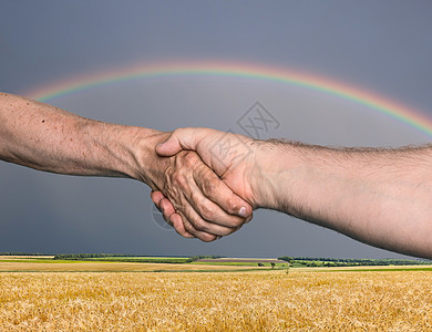 握手合伙场地小麦商务彩虹合作男人联盟协议男性图片