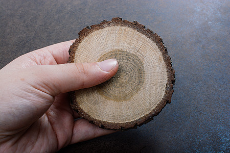 韩版小截木原木戒指树干树桩木件日志裂缝木头背景图片