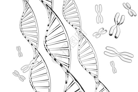 抽象背景 带 X 染色体的 DNA 分子白色插图遗传化学生物学蓝色基因组细胞生活绿色图片