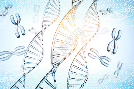 抽象背景 带 X 染色体的 DNA 分子基因组绿色化学实验室科学药品白色生物学生活技术图片