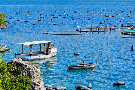 夏季在亚得里亚海的渔船农场种植 克罗地亚农业钓鱼绳索大海海岸海鲜食物培育海景盐水图片