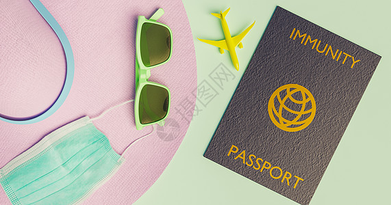 带墨镜口罩带有共同豁免护照的旅行附件 新常态概念;新的正常概念背景