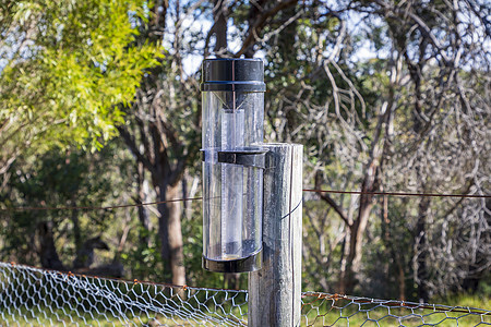雨表钉在木柱上铁丝网栅栏塑料环境木头测量灌木丛森林邮政叶子图片