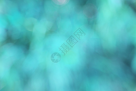 模糊抽象和背景青色季节森林圆圈阳光植物叶子艺术绿色花园图片