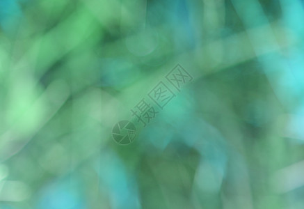 模糊抽象和背景蓝色叶子季节森林圆圈阳光绿色花园植物晴天图片