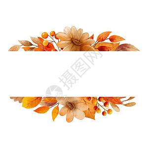 秋叶水彩画框和边框橙子季节边界黄色季节性植物学红色圆框植物插图图片