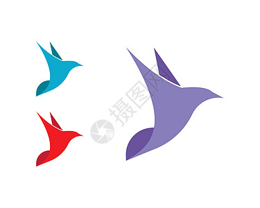 鸟鸽标志模板优雅插图婚礼波峰奢华公司假期翅膀标识卷曲图片