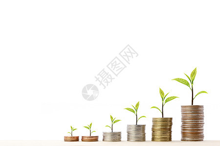 用一棵小树堆在顶端的硬币堆放在一张图上信用环境现金储蓄薪水投资财富商业叶子经济图片