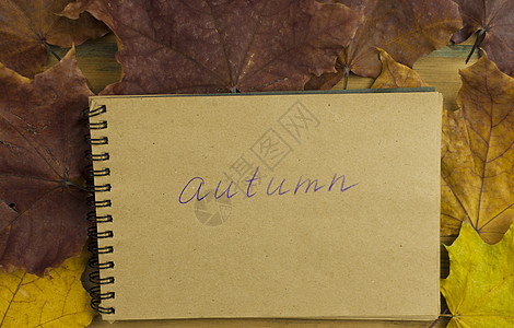 笔记本和枫叶在秋天到冬天的复古概念回到学校高清图片