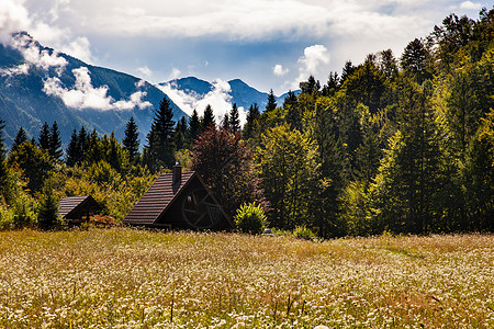 斯洛文尼亚的斯洛文尼亚小屋视图花朵草地乡村天空山脉森林树木假期场地太阳图片
