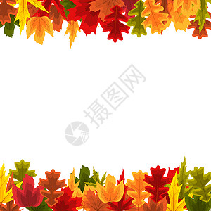 你好秋天秋天自然叶子背景 它制作图案矢量植物活动绘画庆祝橙子插图亮度框架季节感恩背景