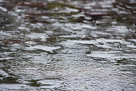 沥青上的雨滴 背景或纹理图片