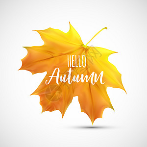 闪亮的你好秋天自然树叶背景 它制作图案矢量魔法活动金子叶子框架绘画橙子插图季节感恩背景