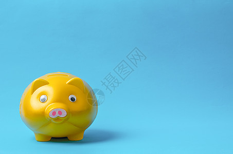 蓝背景的金猪银行图片